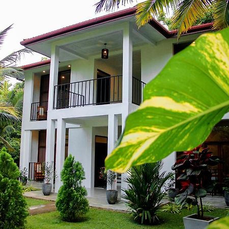 Manike Lodge ハバラナ エクステリア 写真