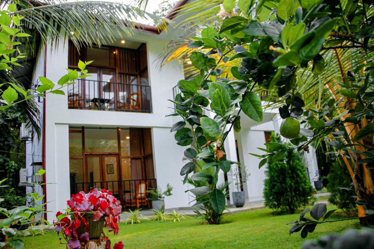 Manike Lodge ハバラナ エクステリア 写真